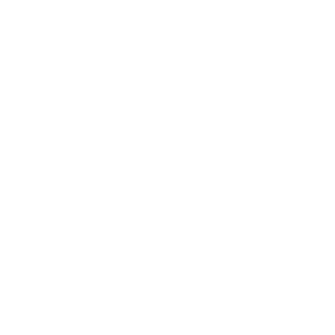 Mch global