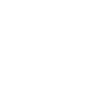 Matt wood
