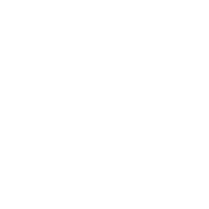 Novograf